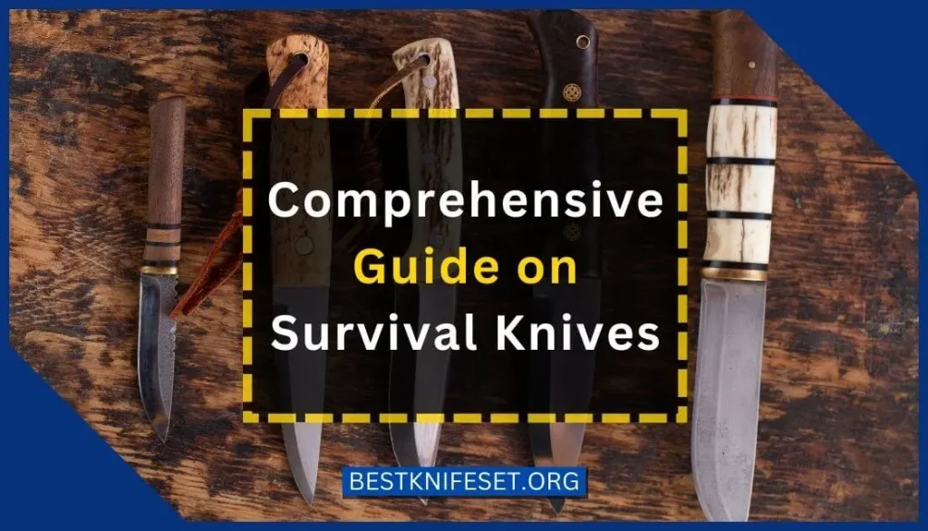 A Comprehensive Guide on Survival Knives
